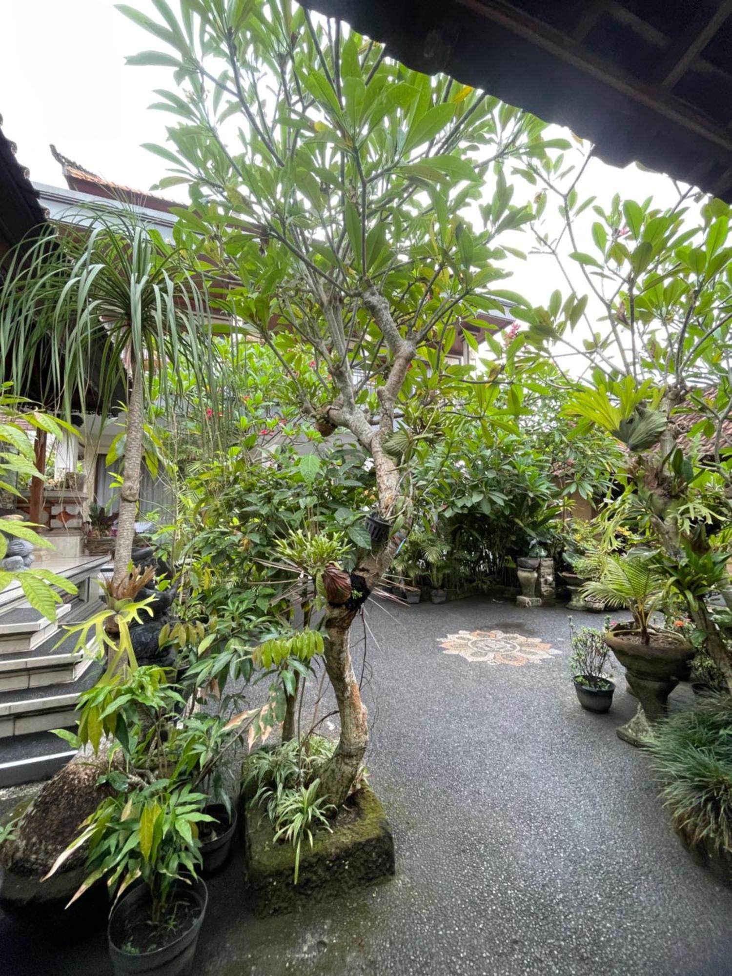 Suntari Homestay أوبود المظهر الخارجي الصورة